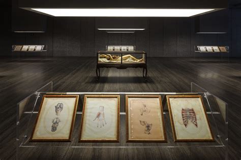 mostra cere anatomiche fondazione prada|At the Fondazione Prada, David Cronenberg Delves .